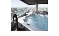 Accesorio para los SPAS de Aquavia | Barra de acceso al Spa
